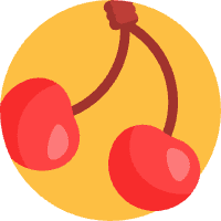 初中认知与资料-雷恩私塾